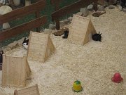 IMG_2008