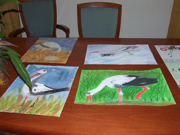 41image