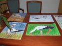 41image