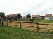 p1010072