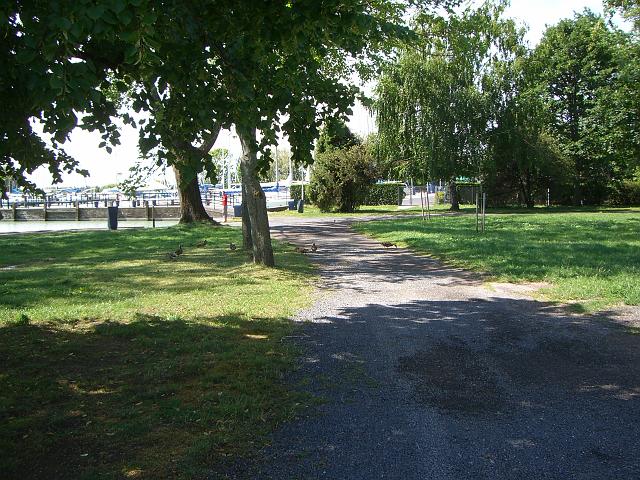 CIMG5288