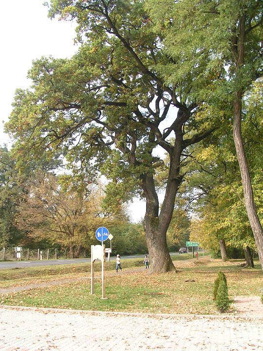 PICT0032