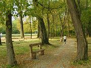 PICT0027