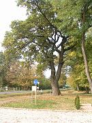 PICT0032