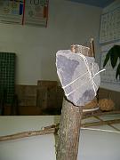 image006
