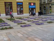 100_1164