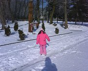 DSC00611