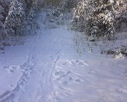 DSC00707