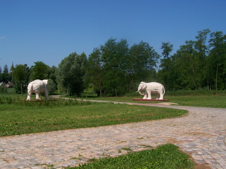 100_8514