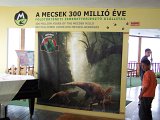 100_8825