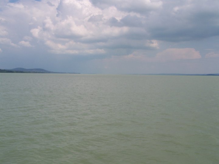 100_9063