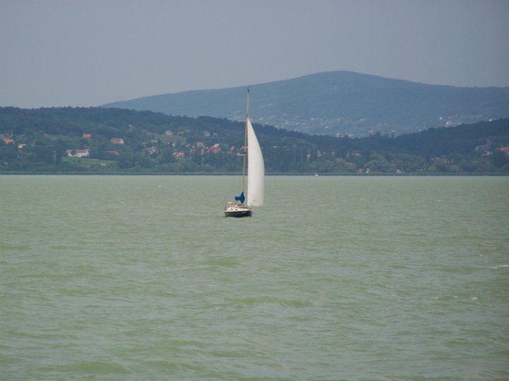 100_9077