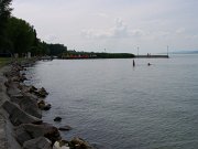 100_9136