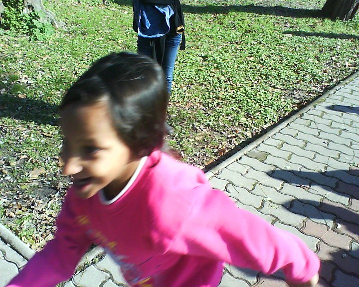 DSC01010