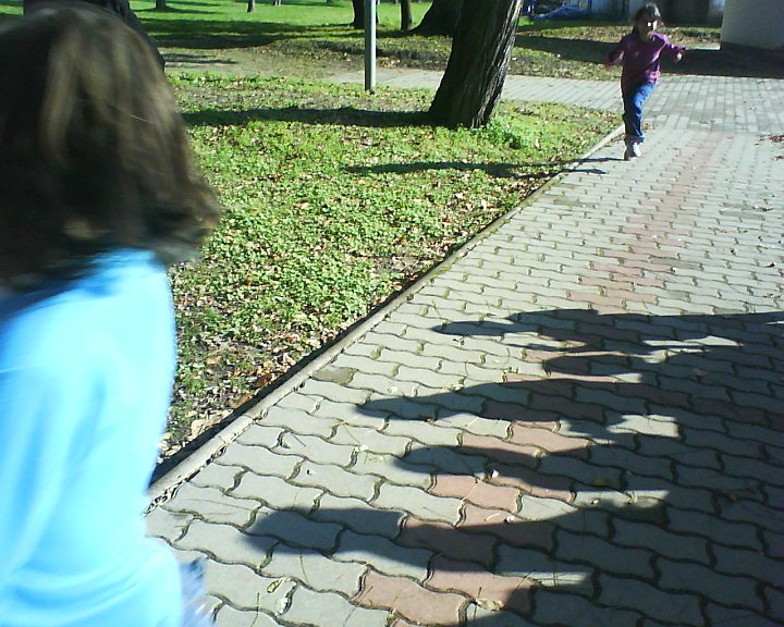 DSC01011